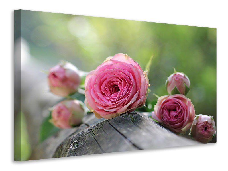 3-piece-canvas-print-bush-roses