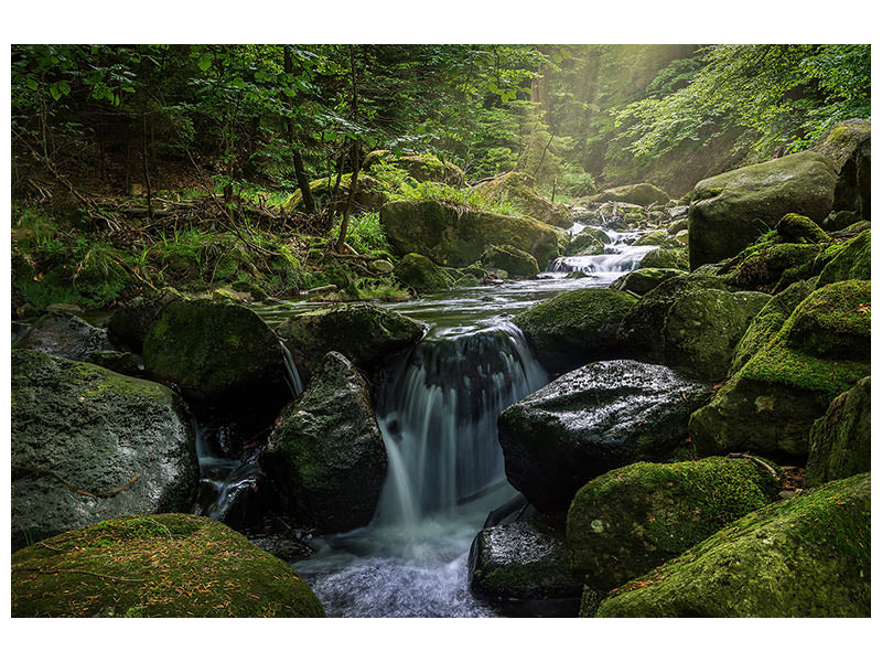 3-piece-canvas-print-calming-view