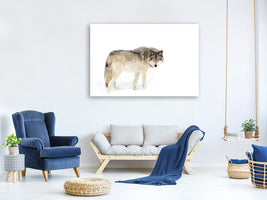 3-piece-canvas-print-canadian-timber-wolf
