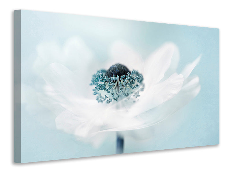 3-piece-canvas-print-candy-floss
