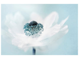 4-piece-canvas-print-candy-floss