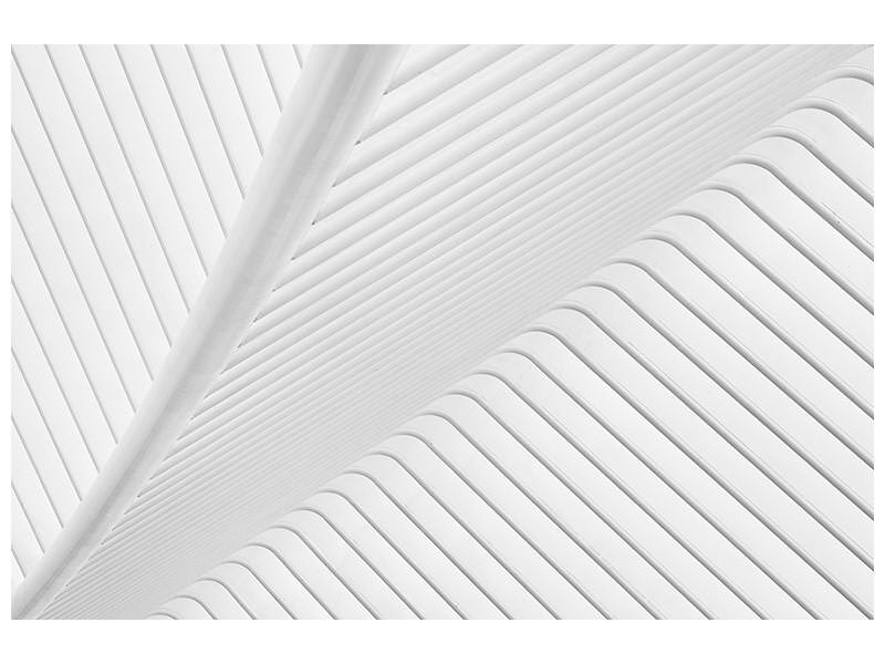 5-piece-canvas-print-canopy
