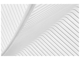 modern-4-piece-canvas-print-canopy