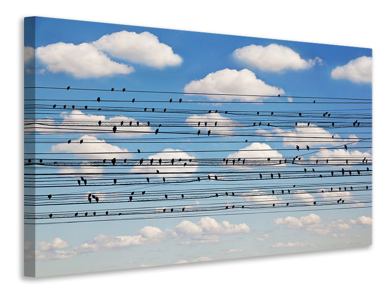 panoramic-3-piece-canvas-print-cantus-arcticus-concerto-for-birds