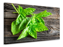 canvas-print-basil-leaves-ii