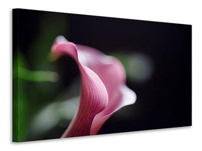 Stampa su tela Calla in viola