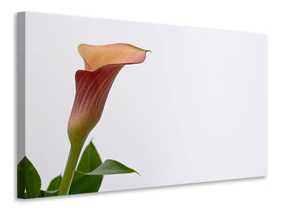 canvas-print-calla-in-xl