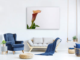 canvas-print-calla-in-xl