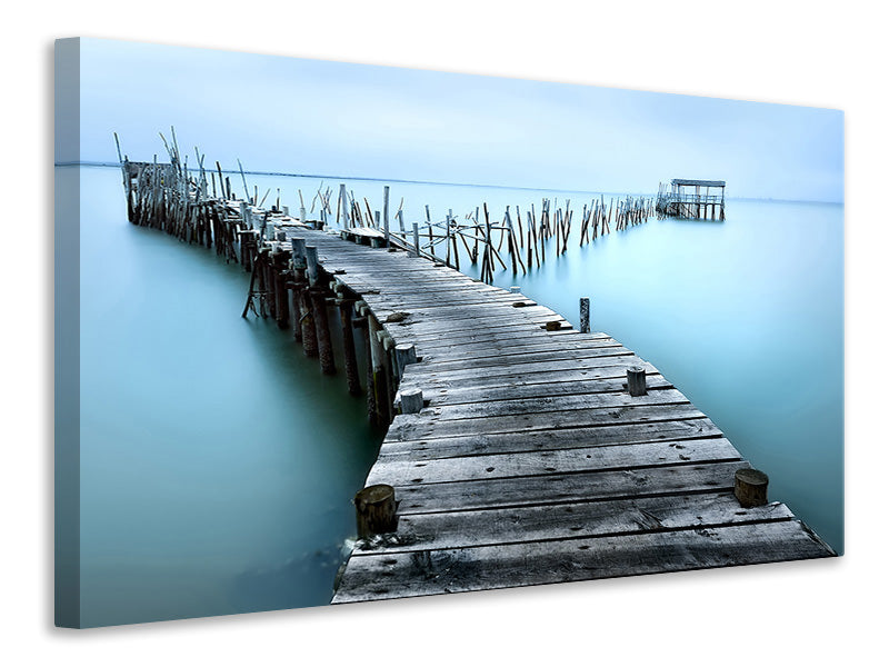 canvas-print-carrasqueira-ii