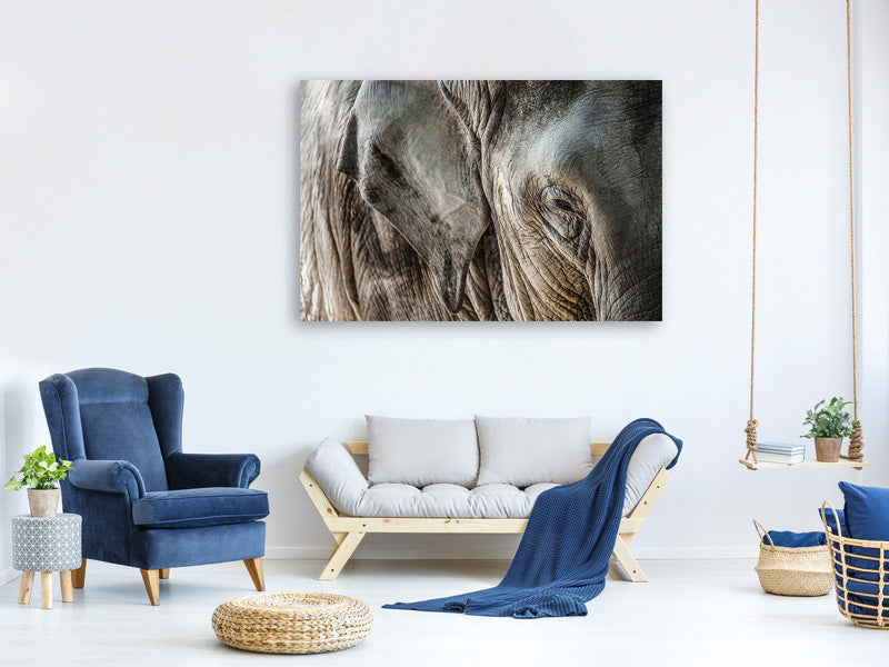 canvas-print-close-up-elephant