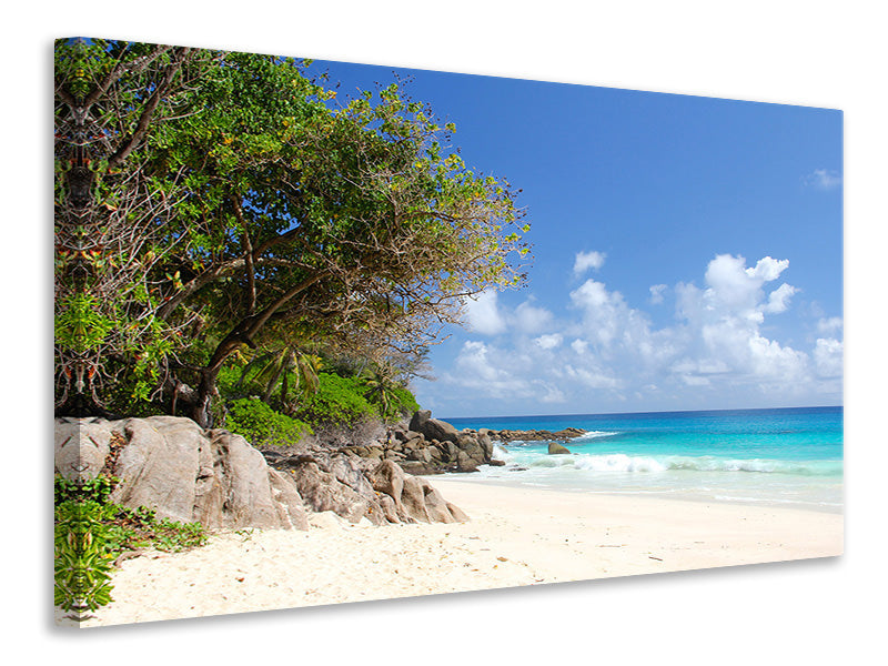 canvas-print-dream-beach-seychelles
