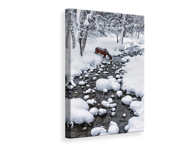 canvas-print-drinking-in-snow