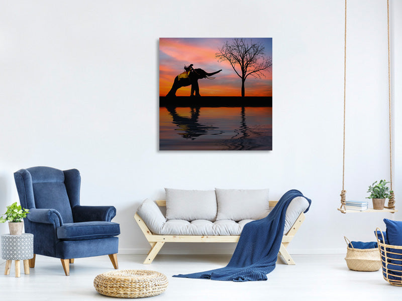 canvas-print-elephant-in-the-evening-light