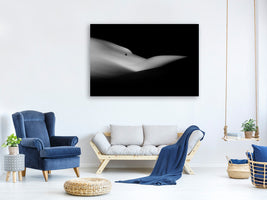 canvas-print-elephant-sleeping-a-white-dream