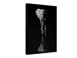 canvas-print-elephant-xsa