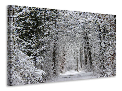 canvas-print-enchanted-winter-forest