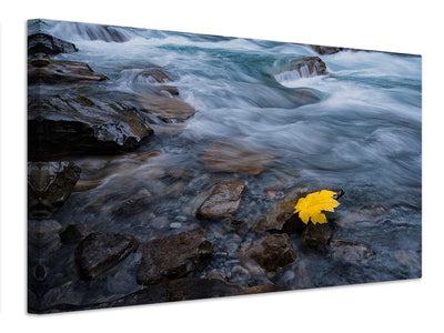 canvas-print-fall-is-here-x