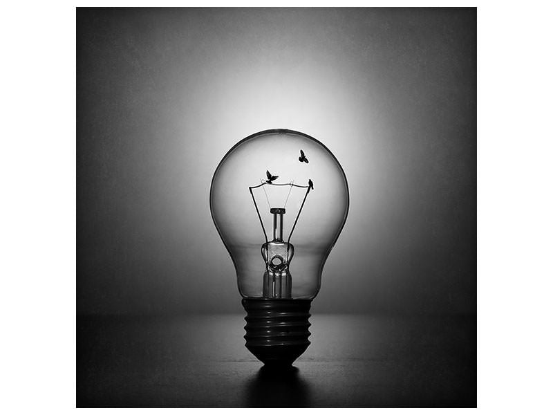 canvas-print-fly-to-the-light