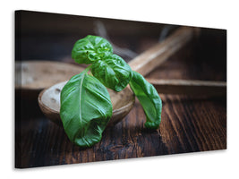 canvas-print-fresh-basil-xl