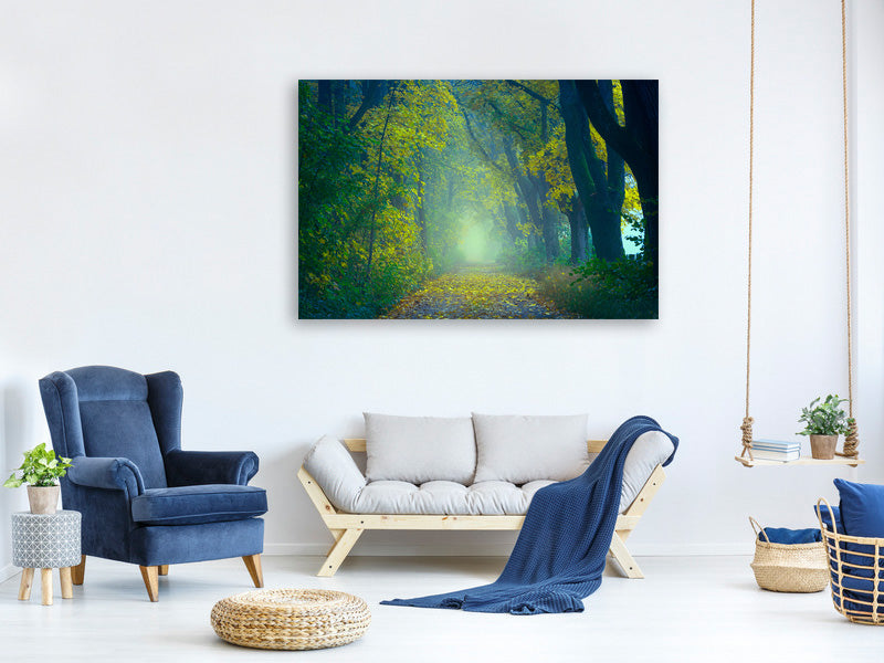 canvas-print-green-forest