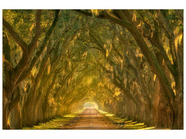 canvas-print-illumination-alley-x