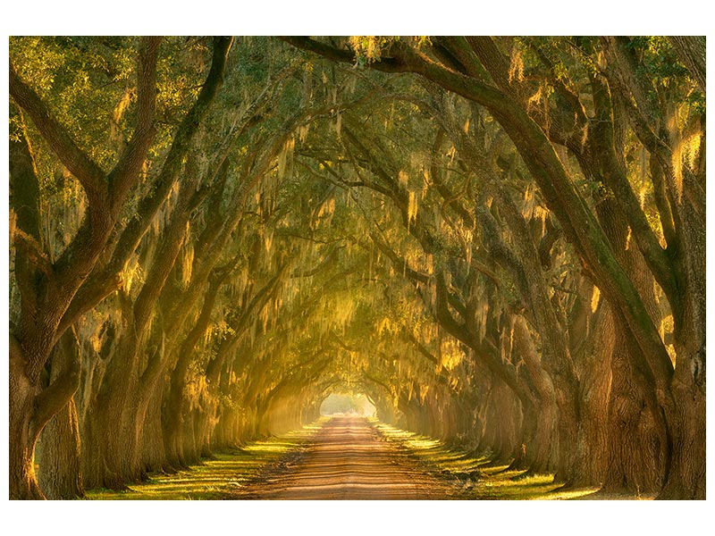 canvas-print-illumination-alley-x
