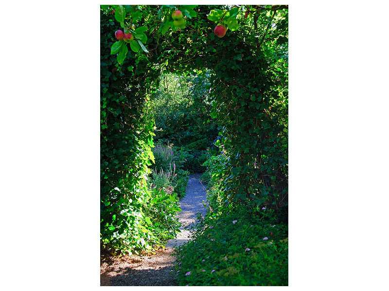 canvas-print-in-paradise-garden