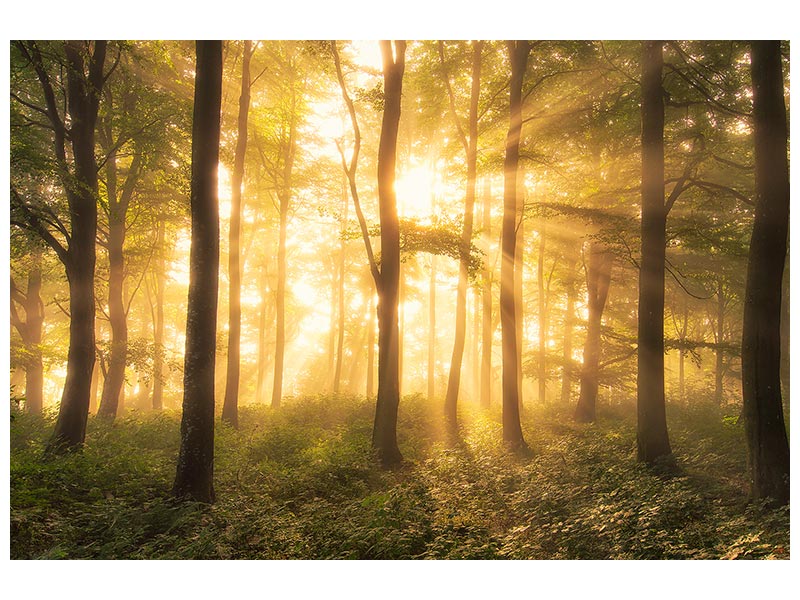 canvas-print-it-s-nice-to-love-x