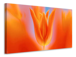 canvas-print-kensaki-tulip
