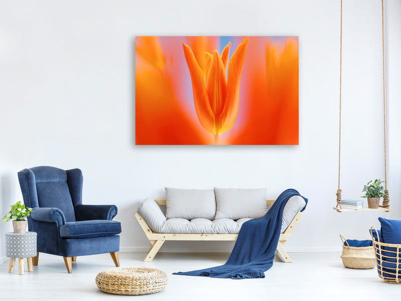 canvas-print-kensaki-tulip