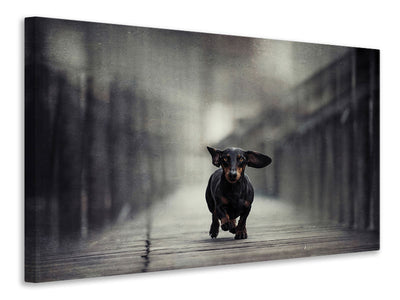 canvas-print-length-too-long-iii