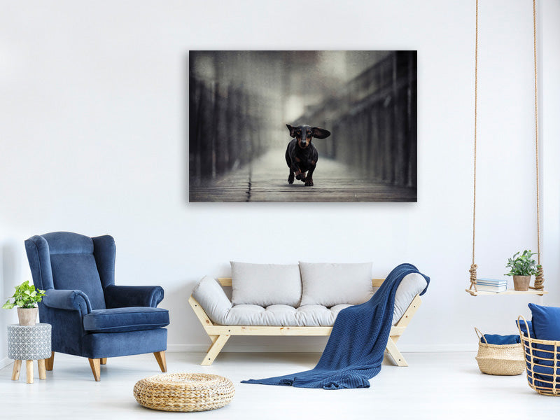 canvas-print-length-too-long-iii