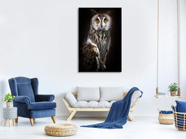 canvas-print-longeared-owl-portrait-x
