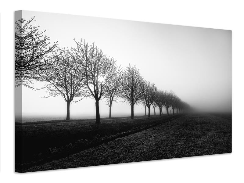 canvas-print-losing-sight-x