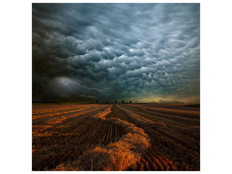 canvas-print-mammatus