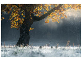 canvas-print-morning-breath-x