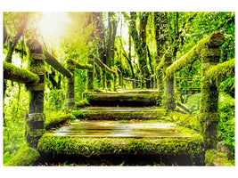 canvas-print-moss