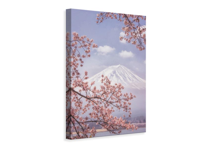 canvas-print-mtfuji-in-the-cherry-blossoms-x