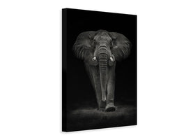 canvas-print-ngorongoro-bull-x