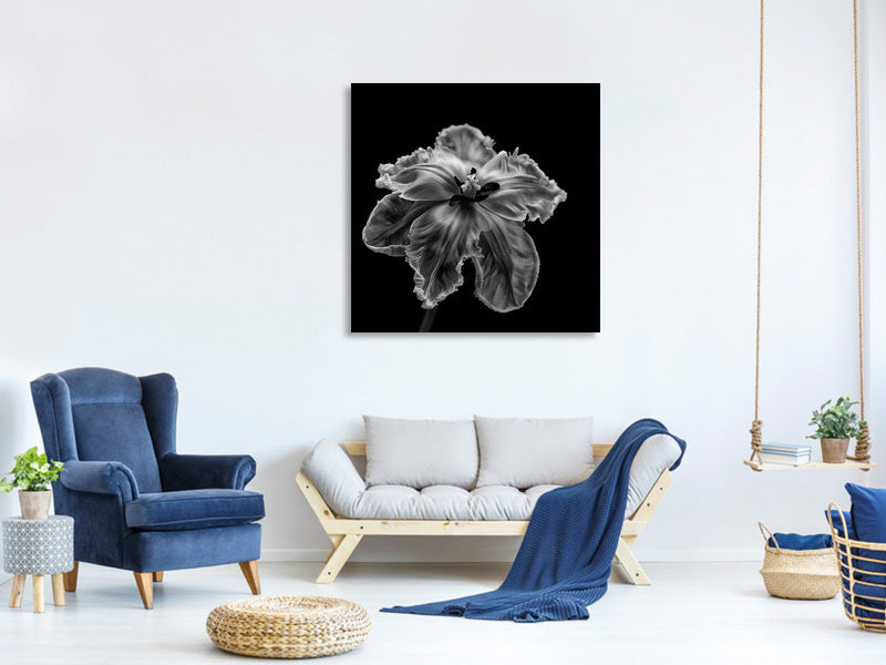 canvas-print-parrot-tulip