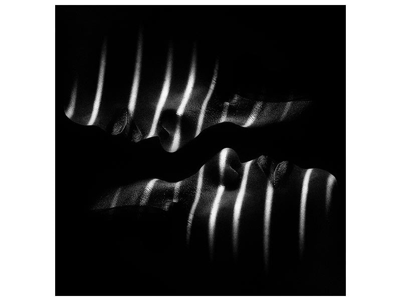 canvas-print-puteri-x