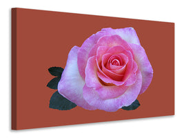 canvas-print-rose-in-pink-xxl