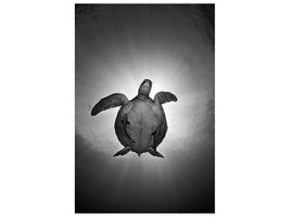 canvas-print-sun-x