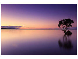 canvas-print-sunset-on-the-tree-in-the-water