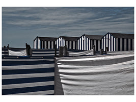 canvas-print-territorial-behavior