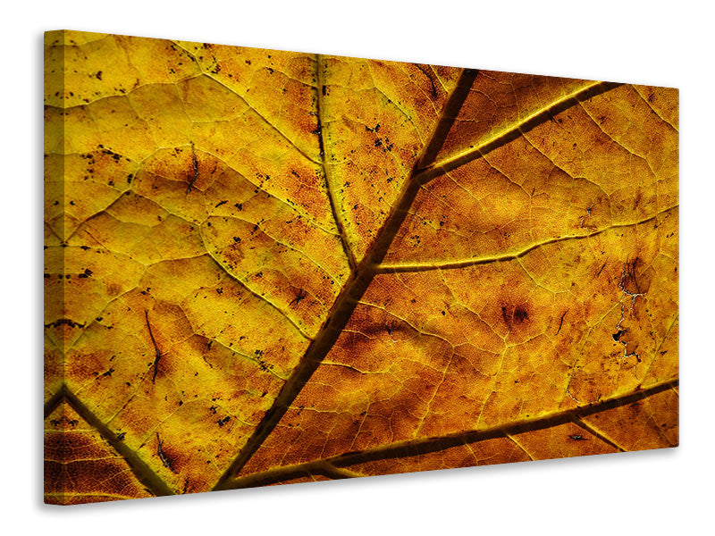canvas-print-the-autumn-leaf