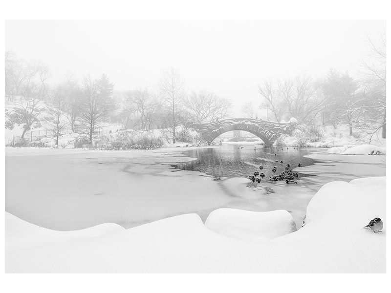 canvas-print-the-first-snow-of-central-park-x