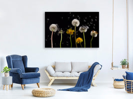 canvas-print-the-phases-of-dandelion