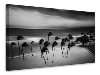 canvas-print-tropical-storm