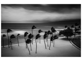 canvas-print-tropical-storm